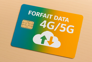 anylink télécommunication téléphonie fibre optique La Rochelle forfait data